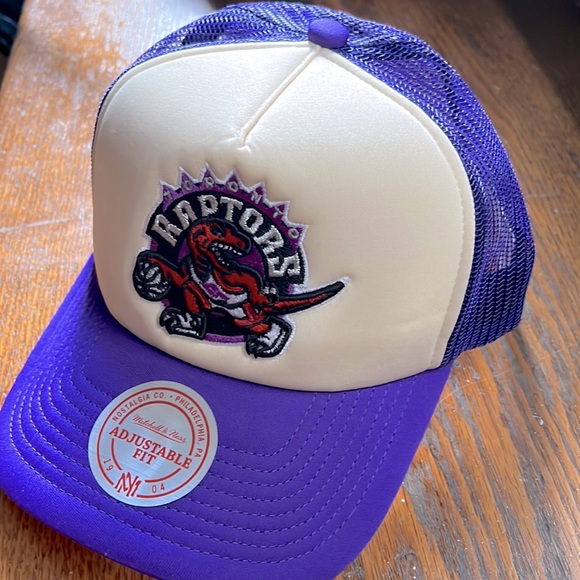 Other - Purple Toronto Raptors hat